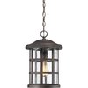 Quoizel Crusade Outdoor Hanging Lantern CSE1910PN